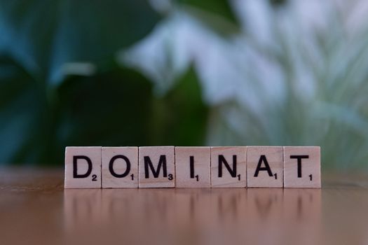 Fast-Track to iGaming Dominance: The Power of White-Label Solutions